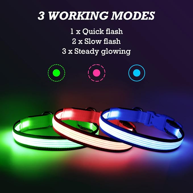 LED Dog Collar, Dog Light Up Collar,for Night Walking (Small, Blue-2) | Full Adjustable,Waterproof,Nylon,Soft,Super Bright Light Collars for Small Medium and Large Dogs,USB C to Charge - Image 3