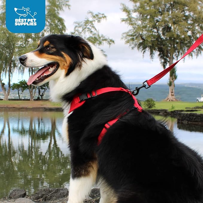 Voyager Step-in Lock Dog Harness - Baby Blue, Large | 20 - 25" in Chest, Adjustable, Breathable Air Mesh, Lightweight for Daily Walks, Strong Clips, Heavy Duty D-Ring - Image 10