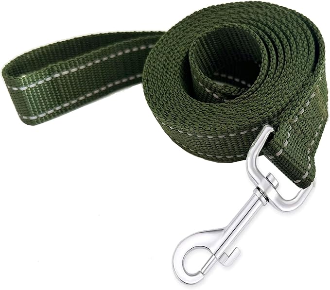 Reflective Dog Leash 4Ft /5 Foot /6 Feet Long, 1 Inch Wide, for Small and Medium Dogs by TAIDA