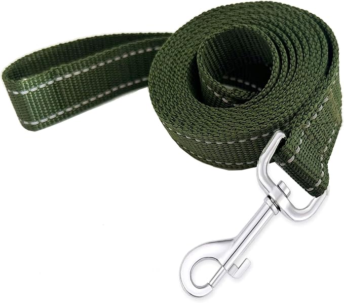 Reflective Dog Leash 4Ft /6 Feet Long, 3/4 Inch Wide, for Small and Medium Dogs by TAIDA