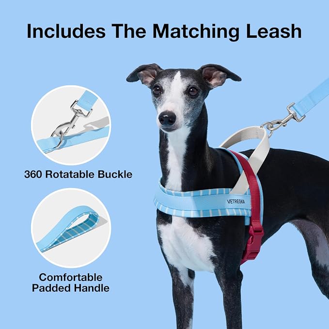 VETRESKA Dog Harness and Leash Set, Adjustable Pet Harness Easy Control, S | No Choke Dog Harness for Small, Medium Dogs, Cats, Kitten, Dog Vest Harness with Anti-Tangle Leash (Misty Melo) - Image 2