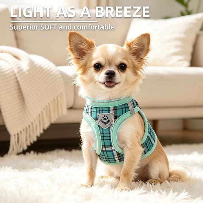 PUPTECK Dog Harness, Collar and Leash Set No Pull for Small Medium Sized | Plaid Puppy Step-in Escape Proof Reflective No Choke Pet Cat Adjustable Walking Vest - Image 3