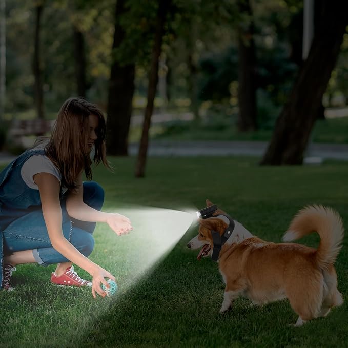 LED Dog Collar Light for Small and Medium Sized Dogs, 3 Light Modes, USB Rechargeable, Night Walking Safety Accessory - Image 6