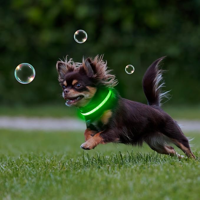 Flashseen LED Dog Collar, Light Up Dog Collar USB Rechargeable, Green, XS | Super Bright Lighted Dog Collar, Adjustable Breathable Mesh, Glow Collar for Dog Night Walking - Image 6
