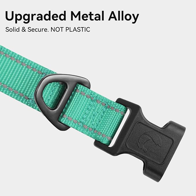 Joytale Reflective Dog Collar, Adjustable Neoprene Padded, Teal L | Breathable Nylon for Large Dogs, No Chafing on Walks and Outdoor Hikes, Tear-Resistant Webbing, Metal D-Ring, Night Safety - Image 3