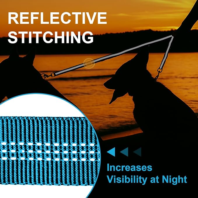 MingXpet Double Dog Leash for Two Dogs, No Pull Dog Leash, 360° Swivel No Tangle for Large Dogs Walking & Training, Shock Absorbing Reflective Bungee, Blue - Image 5