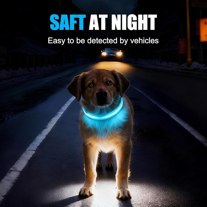 LED Dog Collar Rechargeable, Brightest Light Up Dog Collars, Black L | 1,600 Feet of High Visibility, Magnetic Charging, Glow in Dark Dog, Nylon Materials, Lights for Night Walking - Image 5