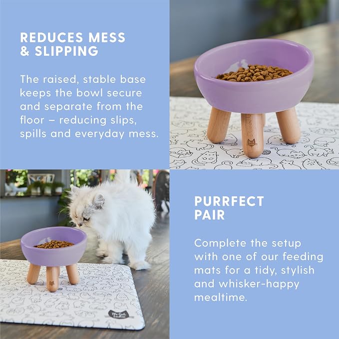 The Cat Ladies Tilted Ceramic Cat Bowl - Elevated Food Bowls Ceramic Pet Bowl - Raised Ceramics Bowls - Elevated & Tilted Design for Comfortable Eating - Dishwasher Safe - Wide Opening - Image 5