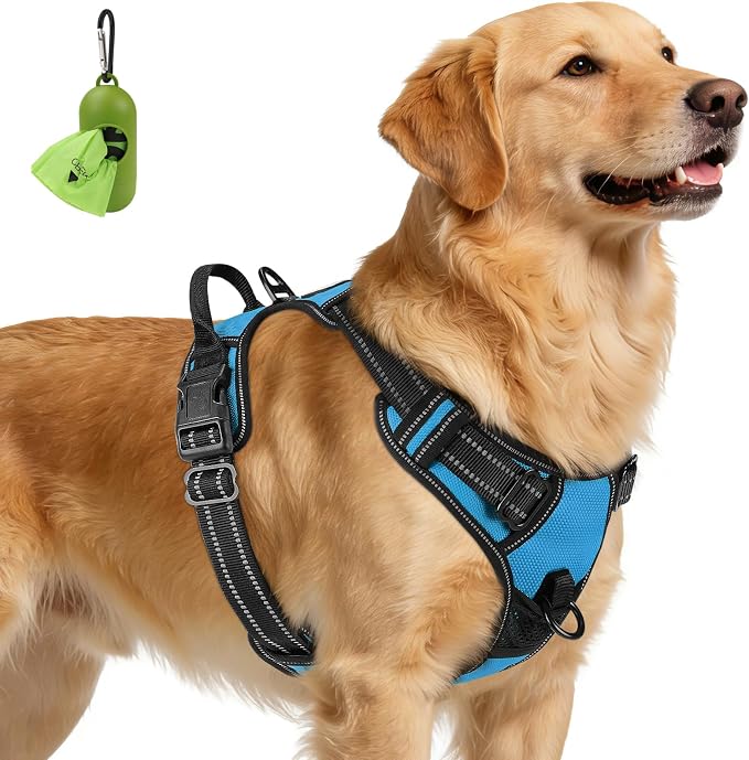 Joytale No Pull Dog Harness for Extra Large Dogs, Front Clip, Sky Blue | Grab Handle for Instant Control, Padded & Adjustable Vest, Sturdy Metal D-Rings, for Safe Training & Daily Walking by Joytale