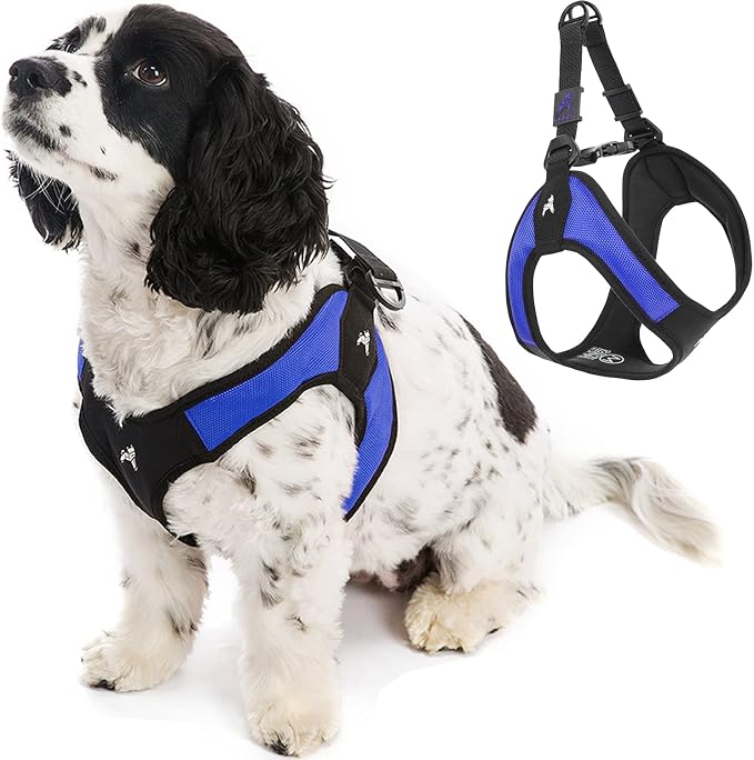 Gooby Escape Free Easy Fit Dog Harness, Step-in, Blue, Large | Patented escape-free frame; Contracts if they back out; Step-in easy on/off; Machine washable; Light POM leash ring by Gooby