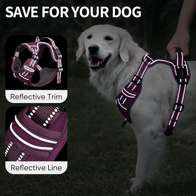HEELE Dog Harness for Medium Dogs No Pull Dog Vest Harness with Soft Padded Handle Reflective for Outdoor Training, Purple(Matching Trim), M | Soft Breathable Padded for Medium Harness, No Pull No Choke, Adjustable 2 Metal Rings for Outdoor Walking Tra... - Image 3
