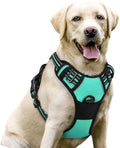 rabbitgoo Dog Harness, No Pull for Large Dogs with 2 Leash Clips, Pet Vest | No Choke with Handle, Adjustable Soft Padded, Reflective, Easy Control for Walking, Turquoise, Large by rabbitgoo