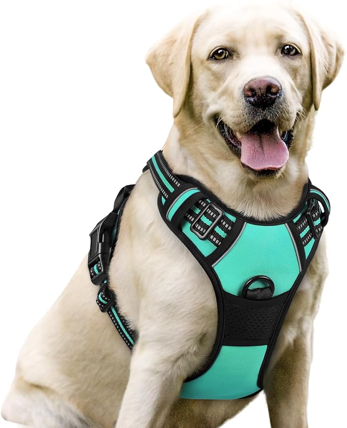 rabbitgoo Dog Harness, No Pull for Large Dogs with 2 Leash Clips, Pet Vest | No Choke with Handle, Adjustable Soft Padded, Reflective, Easy Control for Walking, Turquoise, Large by rabbitgoo
