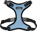 Voyager Step-in Lock Dog Harness - Baby Blue/Black Trim, Large | 20 - 25" in Chest, Adjustable, Breathable Air Mesh, Lightweight for Daily Walks, Strong Clips, Heavy Duty D-Ring by BestPetSuppliesLLC