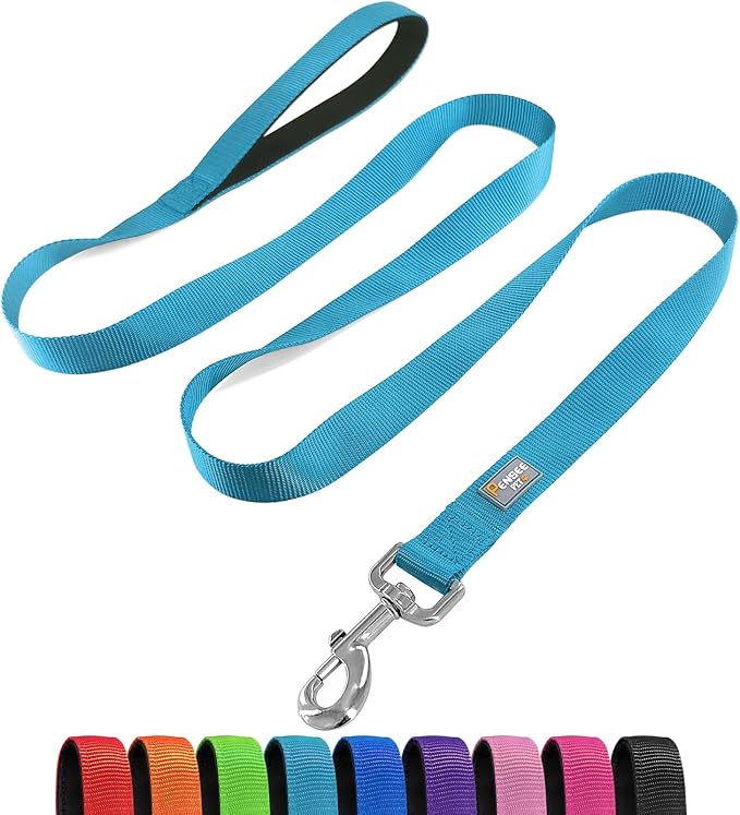 6 FT Reflective Dog Leash for Large Dogs,Sky Blue | Padded Handle,Metal D-Ring,Heavy Duty Nylon Webbing, for Walking & Training by Penseepet