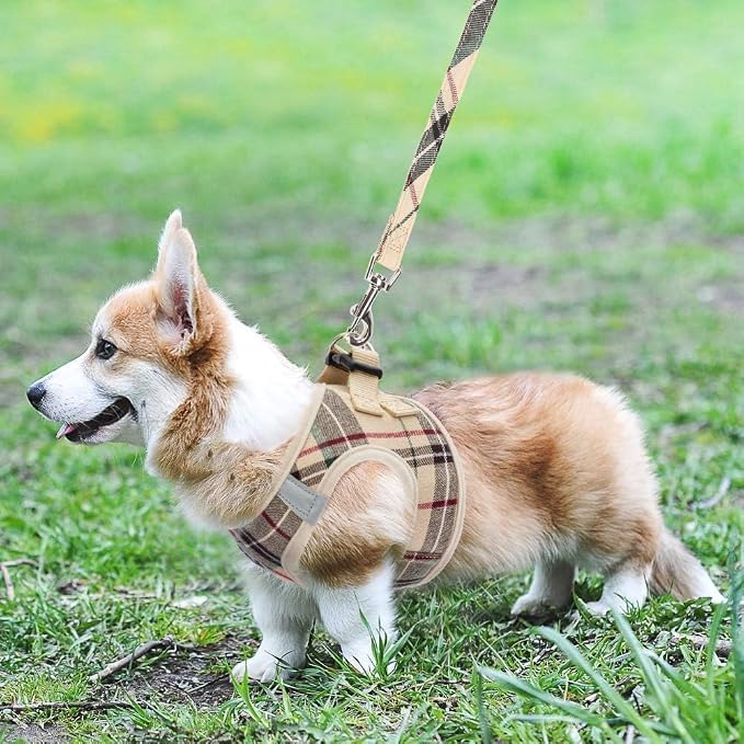 KOOLTAIL Dog Harness and Leash Set for Medium Large Dogs, Step in No Pull Soft Mesh Dog Harness Comfort Padded Pet Vest, Adjustable Reflective Easy Walking Puppy Cats Harnesses Training - Image 8