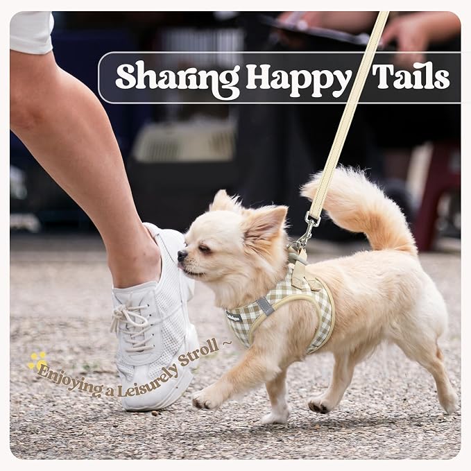 rabbitgoo Dog Harness Small Sized and Leash Set, Step-in Puppy Pet Vest | Light, Soft, Breathable Air Mesh, Easy on and Remove with Hook & Loop, Secure Reflective for Walking, Beige Check S - Image 9