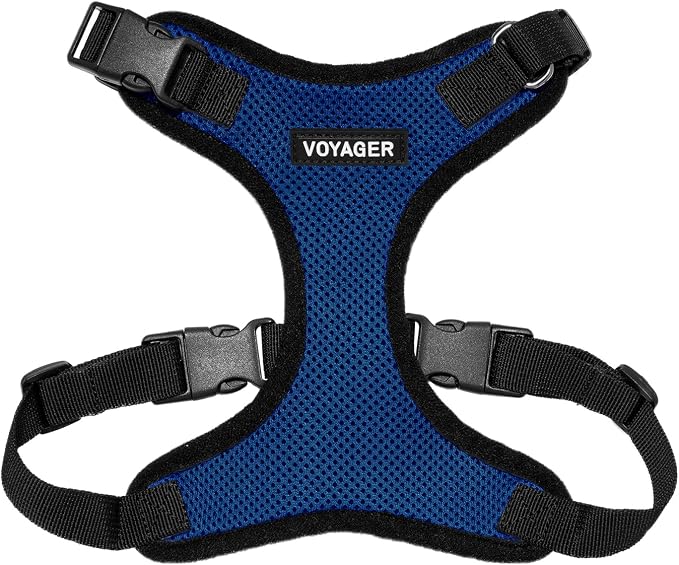 Voyager Step-in Lock Dog Harness - Royal Blue/Black Trim, Small | 15 - 18" in Chest, Adjustable, Breathable Air Mesh, Lightweight for Daily Walks, Strong Clips, Heavy Duty D-Ring by BestPetSuppliesLLC