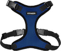 Voyager Step-in Lock Dog Harness - Royal Blue/Black Trim, X-Small | 13 - 16" in Chest, Adjustable, Breathable Air Mesh, Lightweight for Daily Walks, Strong Clips, Heavy Duty D-Ring by BestPetSuppliesLLC
