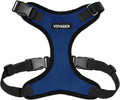 Voyager Step-in Lock Dog Harness - Royal Blue/Black Trim, Medium | 17 - 21" in Chest, Adjustable, Breathable Air Mesh, Lightweight for Daily Walks, Strong Clips, Heavy Duty D-Ring by BestPetSuppliesLLC