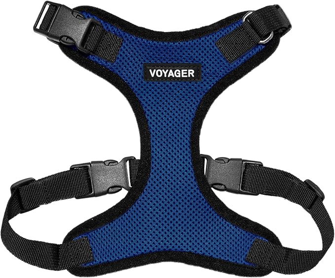 Voyager Step-in Lock Dog Harness - Royal Blue/Black Trim, Medium | 17 - 21" in Chest, Adjustable, Breathable Air Mesh, Lightweight for Daily Walks, Strong Clips, Heavy Duty D-Ring by BestPetSuppliesLLC