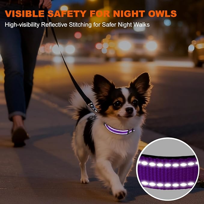 Taglory Reflective Dog Collar for Puppies, Gentle and Safe for Night Walks | Night-Walk Visibility, Soft Neck Cushioning, Adjustable 8-12 in, Locking Buckle, D-Ring for Leash and ID Tags - Image 5