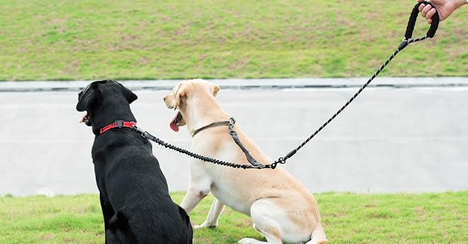 Double Dog Leash, 360° Swivel, No Tangle, Large, 25-150 lbs, Black | Dual Leash for Two Dogs, Split Leash, Shock-Absorbing Bungee, Padded Handle, Heavy-Duty Rope - Image 7