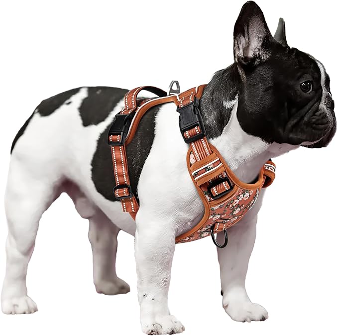 Timos Small Dog Harness, No Pull No Choke, Easy On & Off, Flower Orange, XS | Adjustable Reflective Soft Padded, Neck Quick Release with 3 Buckles, Front & Back 2 Clips and Handle for Walking Training - Image 7