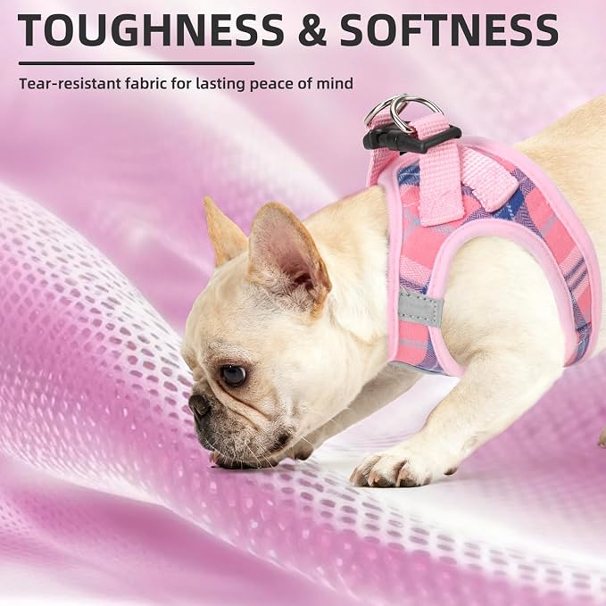 PUPTECK Dog Harness, Collar and Leash Set No Pull for Small Medium Sized | Plaid Puppy Step-in Escape Proof Reflective No Choke Pet Cat Adjustable Walking Vest - Image 6