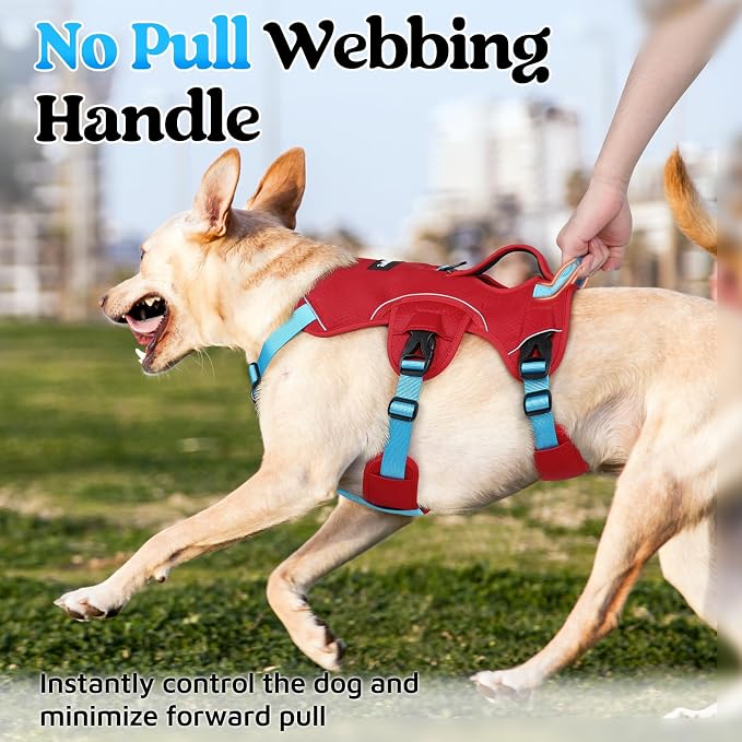 rabbitgoo Escape Proof Dog Harness for X-Large, No Pull with Lift Handle | No Escape, Full Soft Padded, Reflective Adjustable Vest, Leash Clip for Walking Hiking Training, Sky Blue & Red, X-Large - Image 4