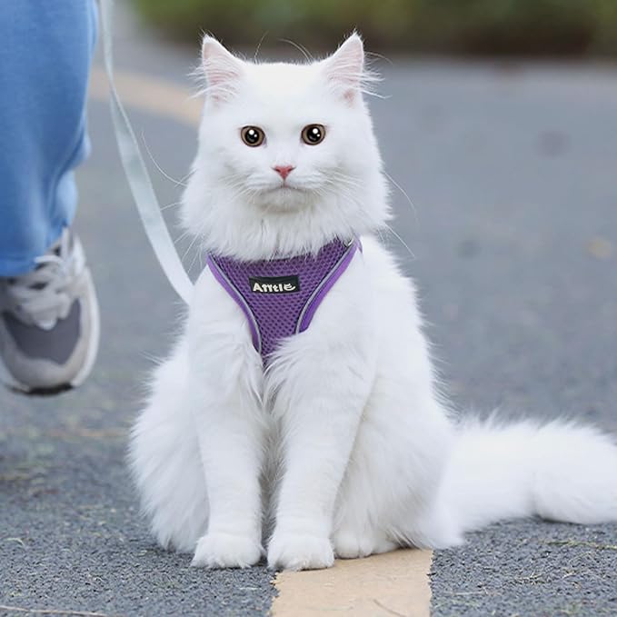 AIITLE Dog Harness and Leash Set, Step-in Puppy Pet Vest, Pure Purple S | Light, Soft, Breathable Air Mesh, Escape-Proof, Easy on and Remove with Hook & Loop, Secure Reflective for Walking - Image 7