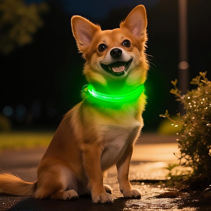 Light Up Dog Collar for Small Dogs - LED Dog Collar Rechargeable Adjustable Puppy Collars, Glow in The Dark Dog Lights for Night Walking（X-Small, Green） by Dolitego