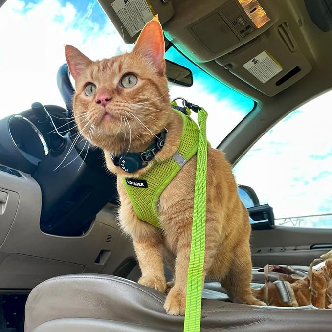 Best Pet Supplies Voyager Step-in Air All Weather Mesh Harness and Reflective Dog 5ft Leash Combo with Neoprene Handle, for Small, Medium and Large Breed Puppies - Lime Green, XXX-Small - Image 8