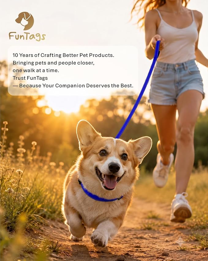 FunTags Reflective Nylon Dog Leash for Medium & Large Dogs, 6FT for Walks | Comfortable Padded Grip, Stay Safe at Night, 360° Anti-Tangle Swivel, for Dog Parks & Trails, Royal Blue - Image 9