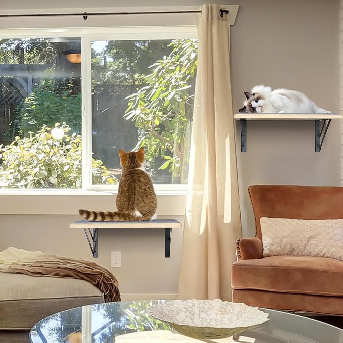 Burlywood Cat Furniture Indoor Set of 2: Wood Shelves with Scratching Pad, Climbing Shelf for Sleeping & Playing, Window Perch for Big Cats - Image 5