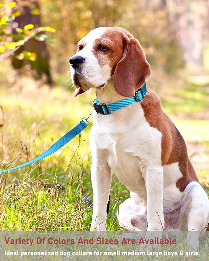 Reflective Dog Collar, Puppy Collar with Buckle Adjustable, Sky Blue XXS | Breathable Nylon Collars for Small Medium Large Dogs, No Chafing on Walks and Outdoor Hikes, Metal D-Ring, Night Safety - Image 6