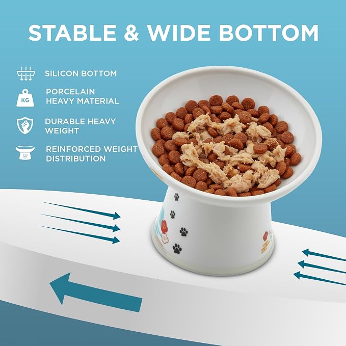 Necoichi Ceramic Raised Cat Food Bowl, 15° Tilted (Fuji, Extra Wide Tilted) - Image 6