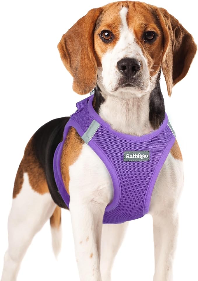 rabbitgoo Step-in Small Dog Harness, Puppy Vest for Small Medium Sized Pet | Easy Put on and off, Lightweight, Soft, Breathable Quick-Dry Air Mesh for Comfortable Secure Walking, Purple XL by rabbitgoo