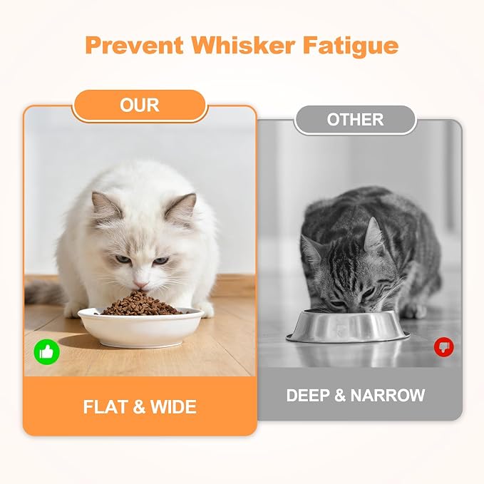 SPUNKYJUNKY Shallow Elevated Cat Bowl with Acacia Wood Stand Wide Raised Ceramic Cat Dishes Whisker Friendly Pet Food and Water Plates (Striped Pattern, 2 Pack, White) - Image 4