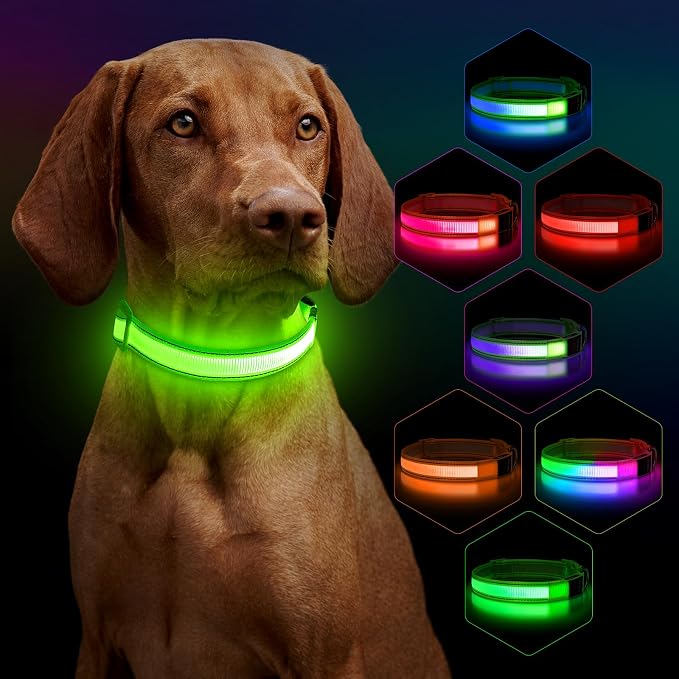 LED Light Up Dog Collar for Night Safety Walks, Green, M | USB rechargeable, waterproof & pet-safe, 3 lighting modes, long-lasting glow, adjustable S/M/L, soft comfy daily walk fit by Dlitk