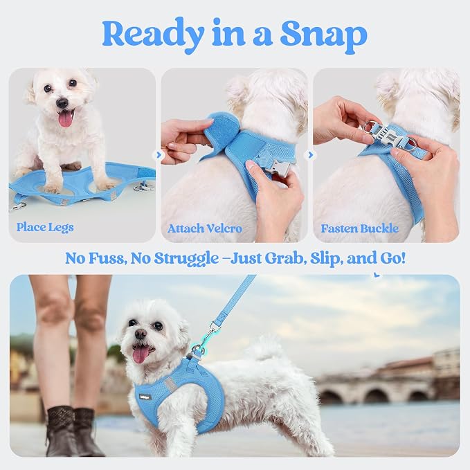rabbitgoo Dog Harness Small Sized and Leash Set, Step-in Puppy Pet Vest | Light, Soft, Breathable Air Mesh, Easy on and Remove with Hook & Loop, Secure Reflective for Walking, Blue S - Image 8