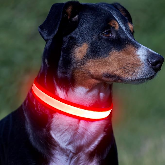 Vizpet LED Dog Collar, Light Up Dog Collar Adjustable USB Rechargeable Super Bright Safety Light Glowing Collars for Dogs(Large,Red) - Image 6