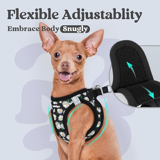 rabbitgoo Step-in Small Dog Harness, Puppy Vest for Small Sized Pet | Easy Put on and off, Lightweight, Soft, Breathable Quick-Dry Air Mesh for Comfortable Secure Walking, Midnight Daisy XXS - Image 6