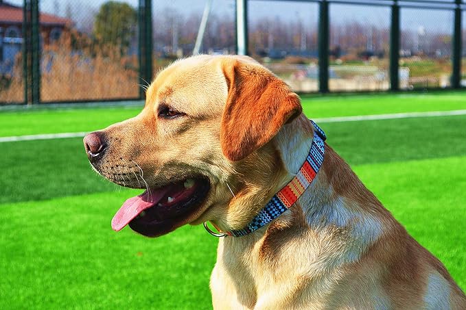 Mihqy Dog Collar for Small Dogs Puppy Cats, Bohemian Orange,XS | Neck Fit 7.9"-11.8", Multiple Patterns，4 Sizes for Small Medium Large Dogs, Comfortable for Walks and Outdoor Hikes - Image 7