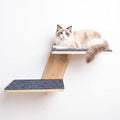 FlyonSea Large Cat Wall Shelves, Solid Wood Wall Mounted Cat Climbing Perch | Floating Kitty Wall steps with Non-slip Carpet, Corner Kitty Wall Furniture Supports up on 25lb, Cat Window Perch, Playing by FlyonSea