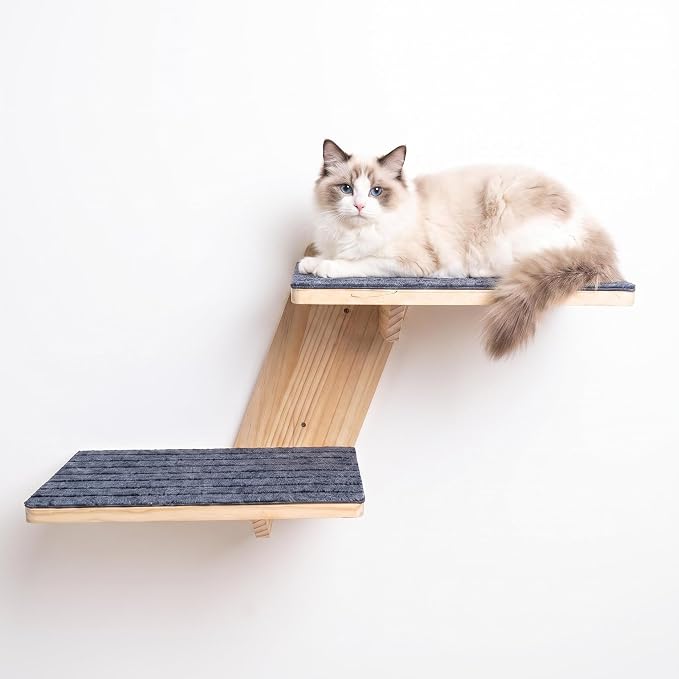 FlyonSea Large Cat Wall Shelves, Solid Wood Wall Mounted Cat Climbing Perch | Floating Kitty Wall steps with Non-slip Carpet, Corner Kitty Wall Furniture Supports up on 25lb, Cat Window Perch, Playing by FlyonSea