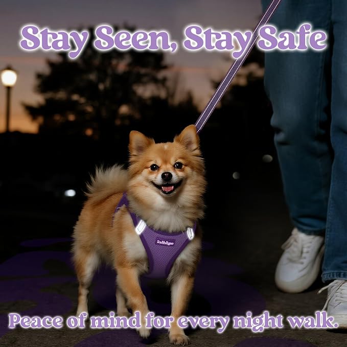 rabbitgoo Dog Harness Small Sized and Leash Set, Step in Soft Vest | Breathable Mesh, Easy Wear with Hook & Loop, Light and Reflective for Walking, Multi-colored, Light Purple & Purple, M - Image 5