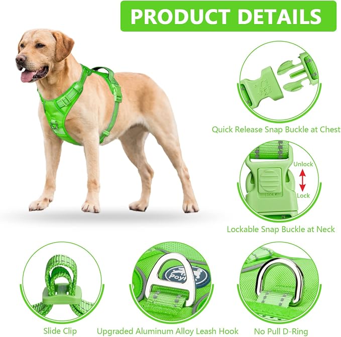 PoyPet No Pull Dog Harness, Reflective Vest with 2 Leash Clips & Handle | Lockable Neck Release Buckle, No Choke, Adjustable, Soft Padded, for Walking Training, Green Matching Trim, Small - Image 7