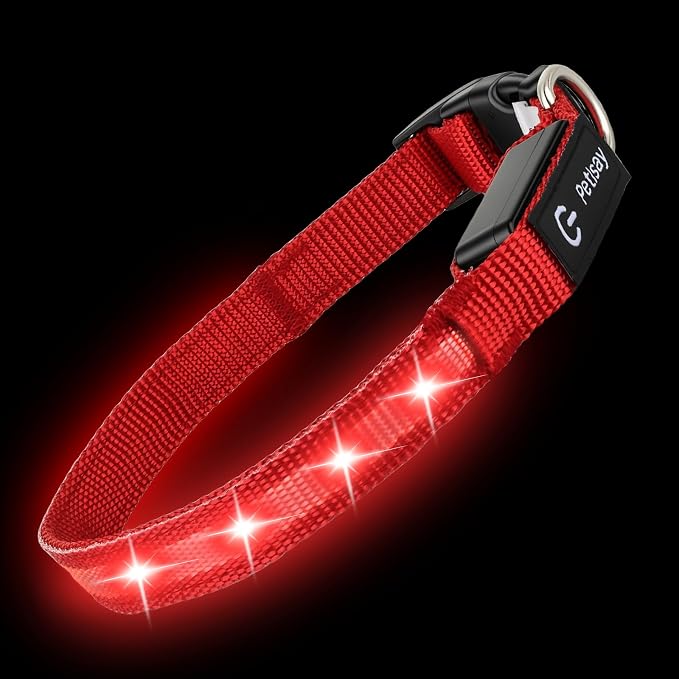 Super Bright LED Dog Collar, Waterproof Light up Collars(Red, S) | Lighted Dog Collar with Adjustable Fit, Soft Nylon Comfort, USB-C Rechargeable, Glow in the Dark Visibility for Night Walks - Image 3