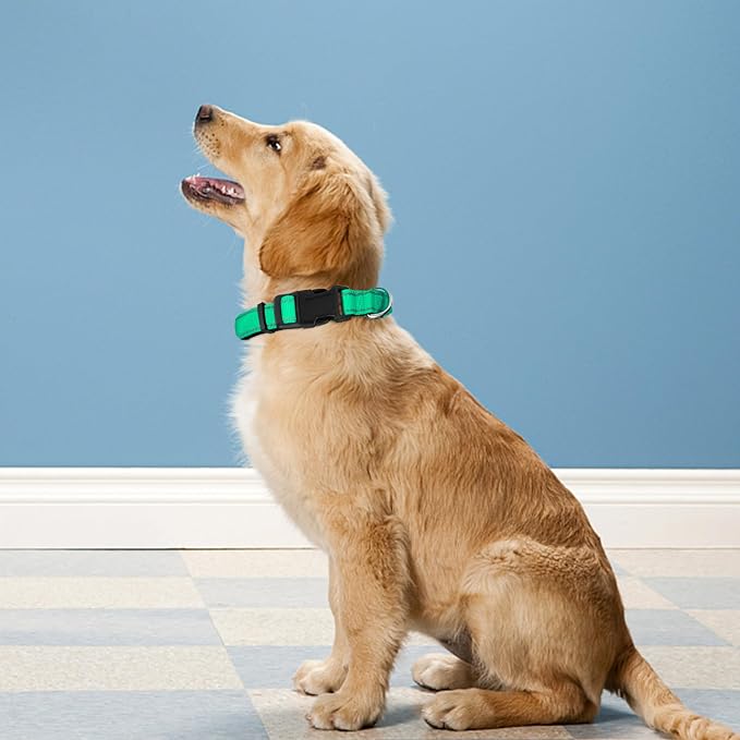 Reflective Dog Collar, Adjustable Soft Neoprene Padded,Grass Green,S | Breathable Nylon for Small Dogs,Tear-Resistant Webbing,Chafe‑Free on Walks and Hikes,Metal D-Ring,Night Safety - Image 2
